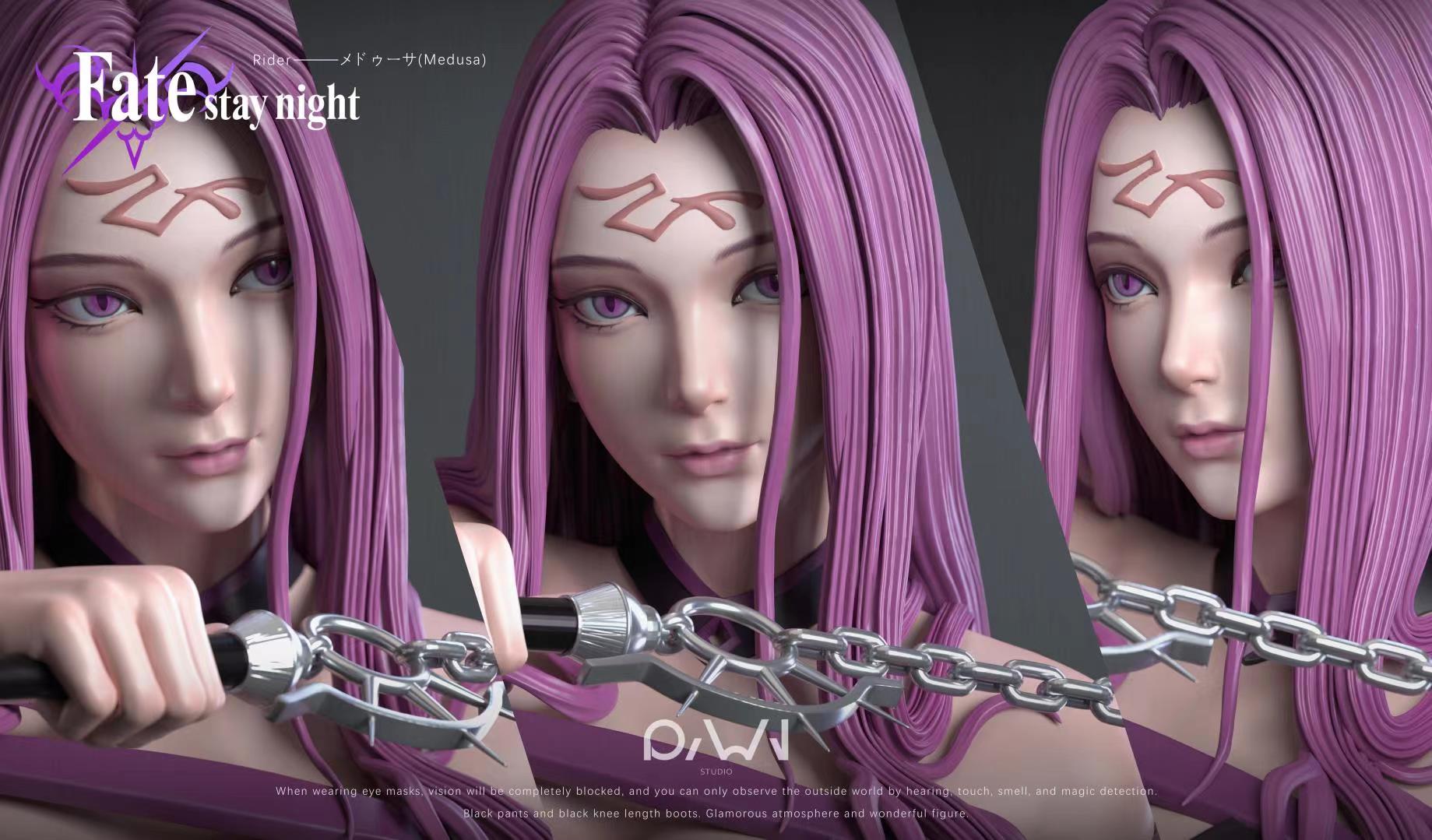 Fate RWN Rider フィギュア ガレージキット スタチュー
