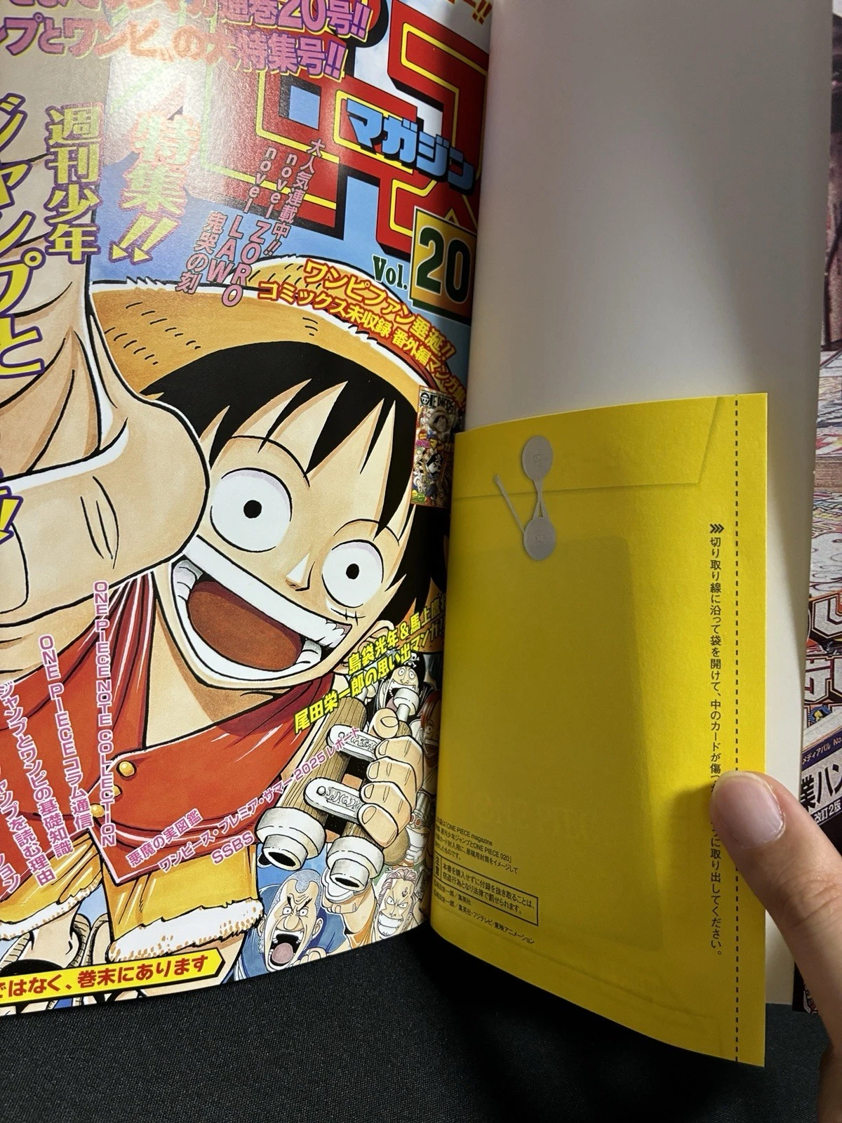 One Piece Promo Card with Magazine Vol 20 Shonen Jump Japanese